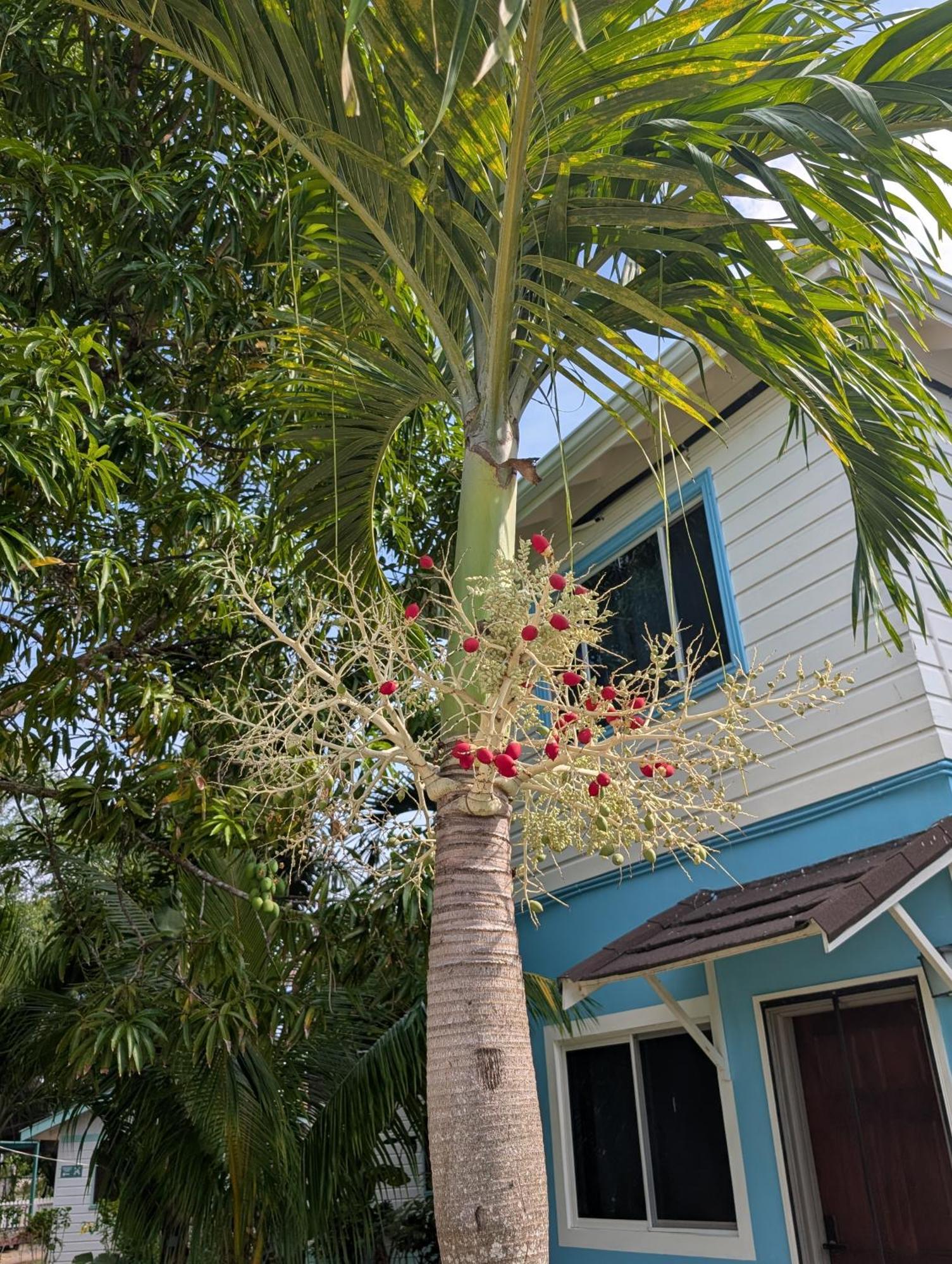 Yoga Dreams Negril Hotel Exterior photo